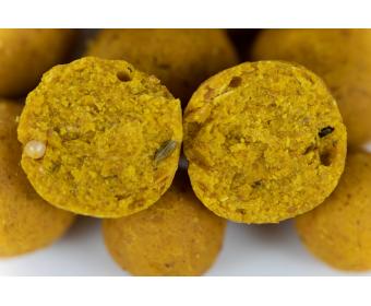 Aquaborne Scopex Boilies 20mm 1,5kg